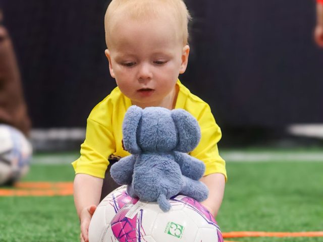 A toddler in a yellow First Kicks shirt reaching for a toy elephant sat on top of a football