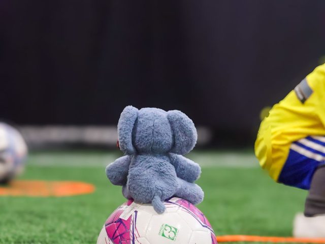 A grey toy elephant perched on a pink football inside an orange marker ring
